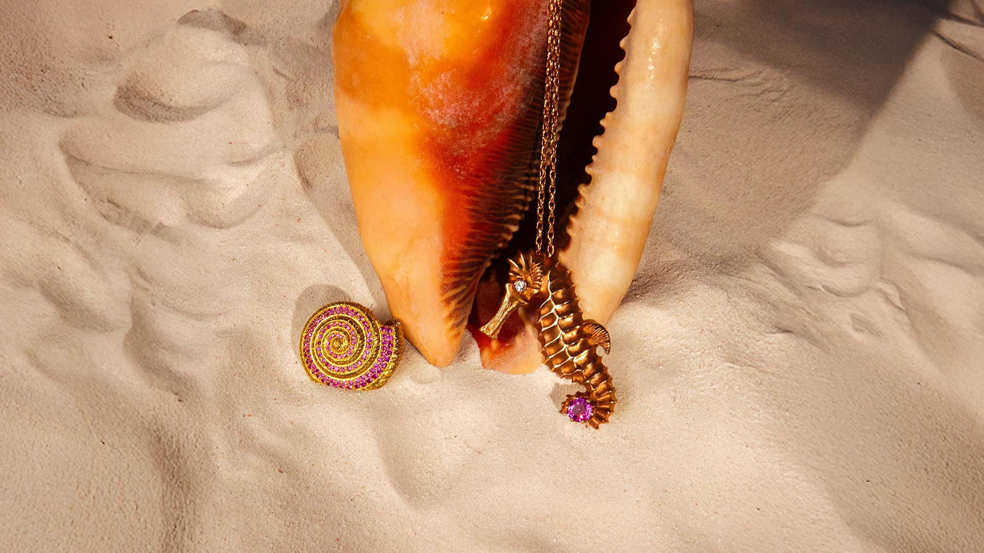 Seahorse